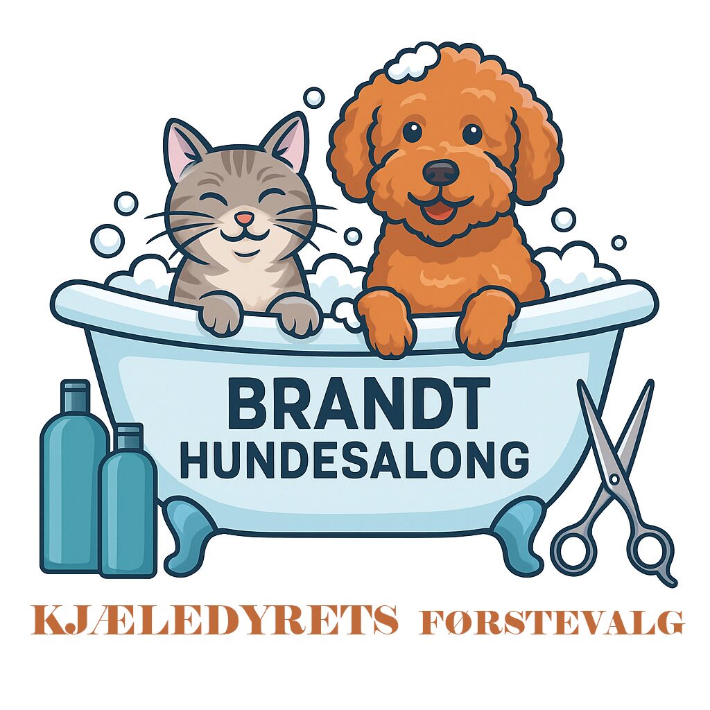 BrandtHundesalong